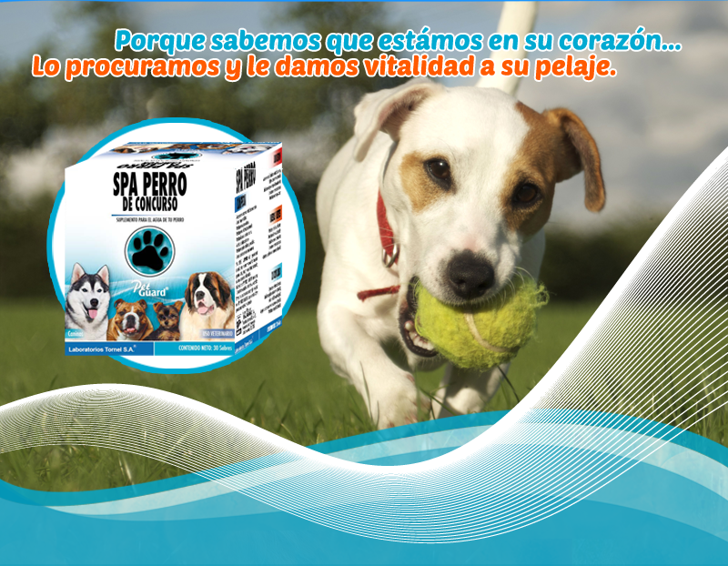 spa perro tornel