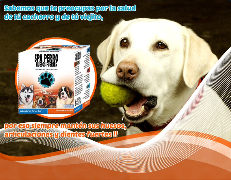 spa perro tornel